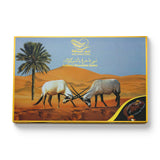 Arabian Luxury Chocolate Dates with Almond –  Premium Gift Pack