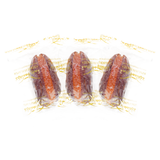 Premium Khedri Dates Stuffed with Nuts & Dried Fruits (Individually Wrapped))
