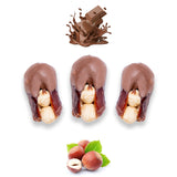 Luxury Khedri Dates Stuffed with Nuts & Half-Dipped in Milk Chocolate