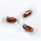 Sagi Dates (Individually Wrapped) 1 KG