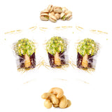 Luxury Khedri Dates Stuffed with Nuts & Half-Dipped in Pistachio Chocolate (Wrapped)