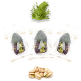 Luxury Khedri Dates Stuffed with Nuts & Half-Dipped in Matcha Chocolate (Wrapped)